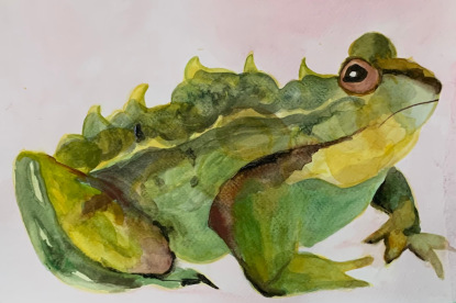 Frog_watercolour